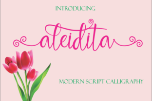 Aleidita: A Modern Script Font for Editorial Design