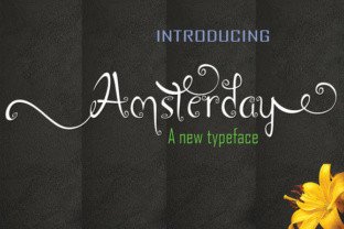 Amsterday: The Script Handwritten Font for Bold Branding