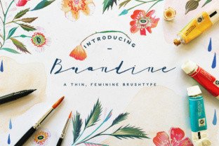 Brandine Font: Elevating Digital Branding