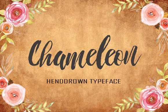 Chameleon: A Unique Script Handwritten Typeface