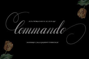 Commando Font for Modern Business Branding
