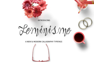Feminisme Font Review: Elegant Script for Designers