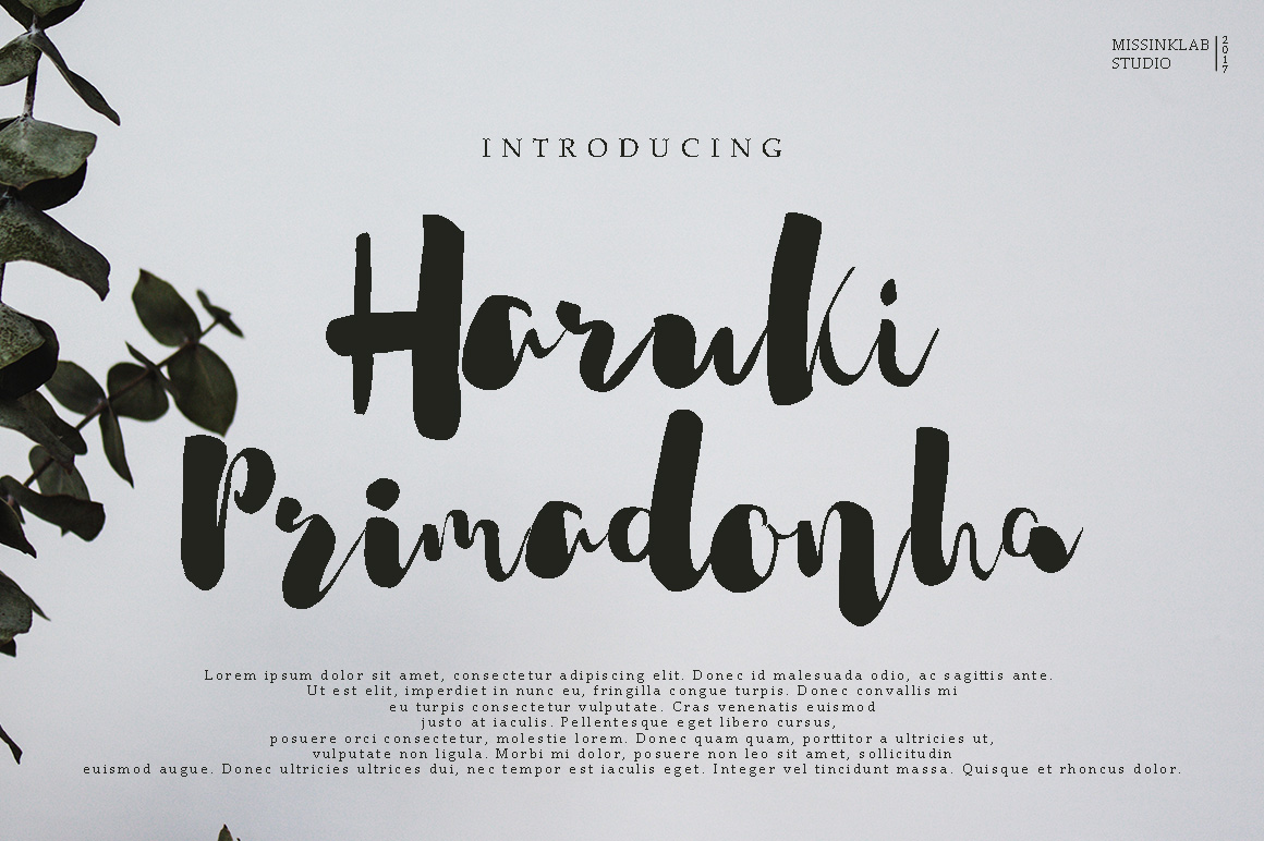 Haruki Primadonha: A Modern Script Typeface