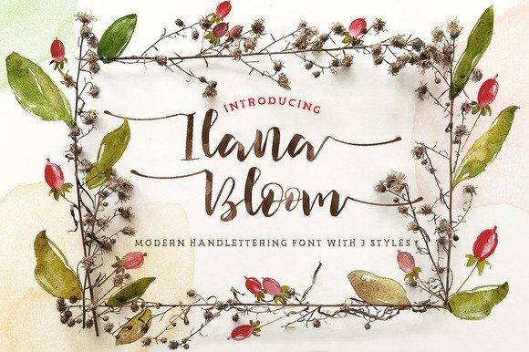 Ilana Bloom: A Modern Script Typeface for Elegant Editorial Design