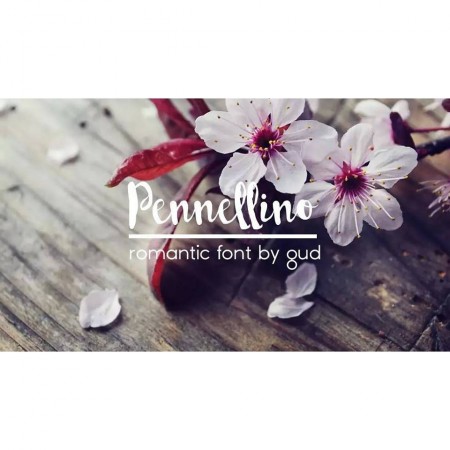 Pennellino: The Brush Typeface for Branding