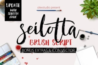 Seilotta: The Brush Script Typeface for Bold Campaigns