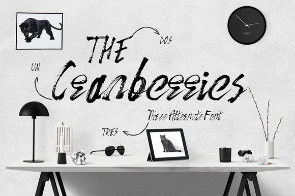 The Cranberries: A Script Handwritten Font for Makers