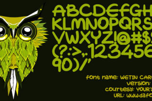 Wetin Caro Want: A Script Handwritten Typeface for Editorial Design