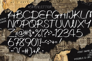 Written Lies: A Script Typeface for Editorial Design